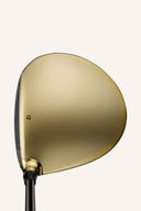 Golfschläger TaylorMade Qi 35 Designer Series Gold Driver mit goldener Kopfhaut und schwarzem Griff, Blick auf den Schlägerkopf