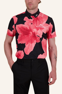 KV Tour Polo