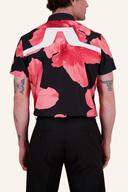 KV Tour Polo