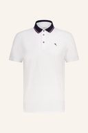 Chervo Asparago Polo für Herren, grünes Poloshirt aus Baumwolle mit Kragen und Knopfleiste, sportlich und bequem.