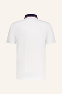 Chervo Asparago Polo Herren, grünes Poloshirt aus Baumwolle mit Kragen und Logo-Details, bequem und stilvoll.