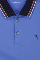 Chervo Asparagus Polo für Herren, bequemes Poloshirt aus weichem Stoff mit Kragen und Knopfleiste, elegantes Herrenmode-Design
