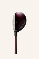 Beres 10 Hybrid