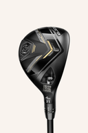 DS Adapt <tc>Hybrid</tc>