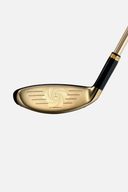 Royale (2023) Hybrid